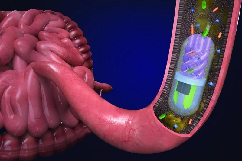 Smart Capsule for Sampling Microbiome of GI Tract