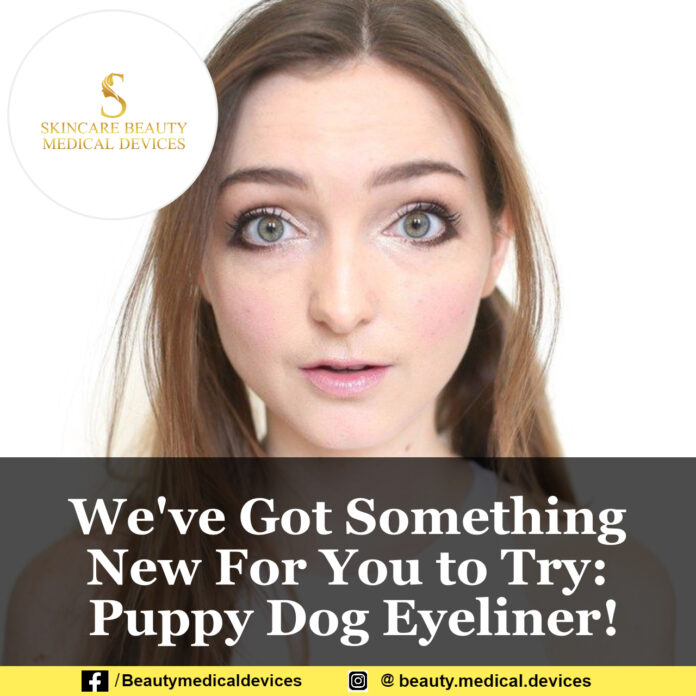 We've Got Something New For You to Try: Puppy Dog Eyeliner!