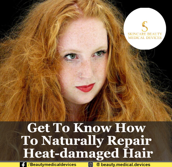 Get To Know How To Naturally Repair Heatdamaged Hair