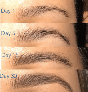 How to thicken Eyebrows with Egg Yolks: