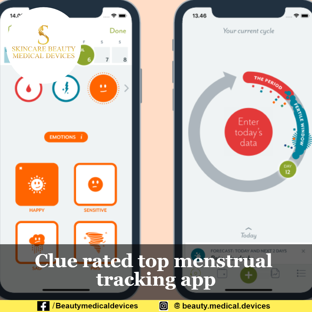 Clue Rated Top Menstrual Tracking App