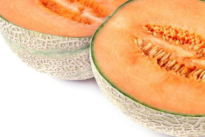 Enhance Your Skin's Radiance with Melon Seeds Milk: A Natural Elixir