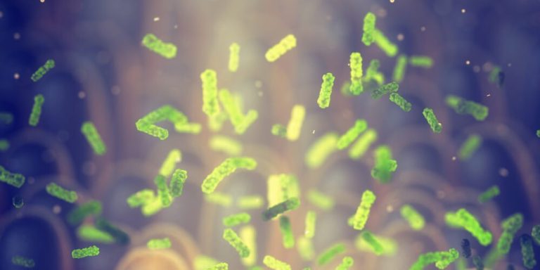 The Skin’s Secret Ally: Harnessing the Power of Probiotics
