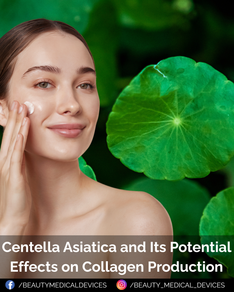 Centella Asiatica and Its Potential Effects on Collagen Production